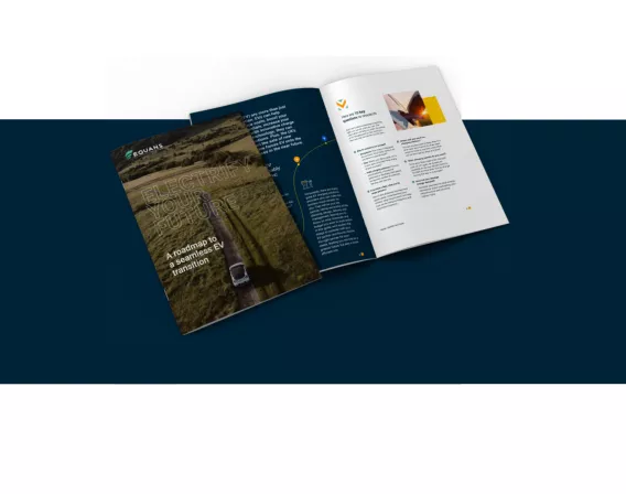 Roadmap guide