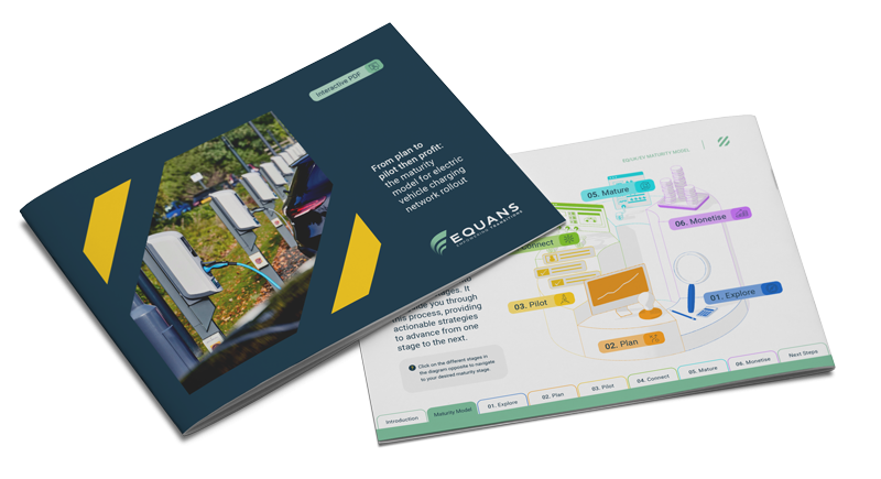 Maturity Model Guide