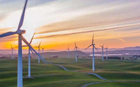 Several wind turbines set in a field at sunset