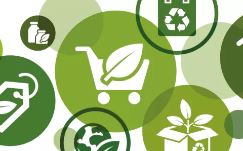 Different sustainability graphics in green circles
